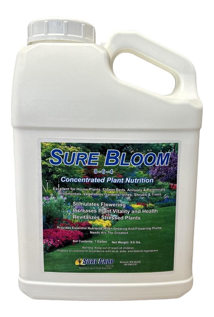 Bloom 1