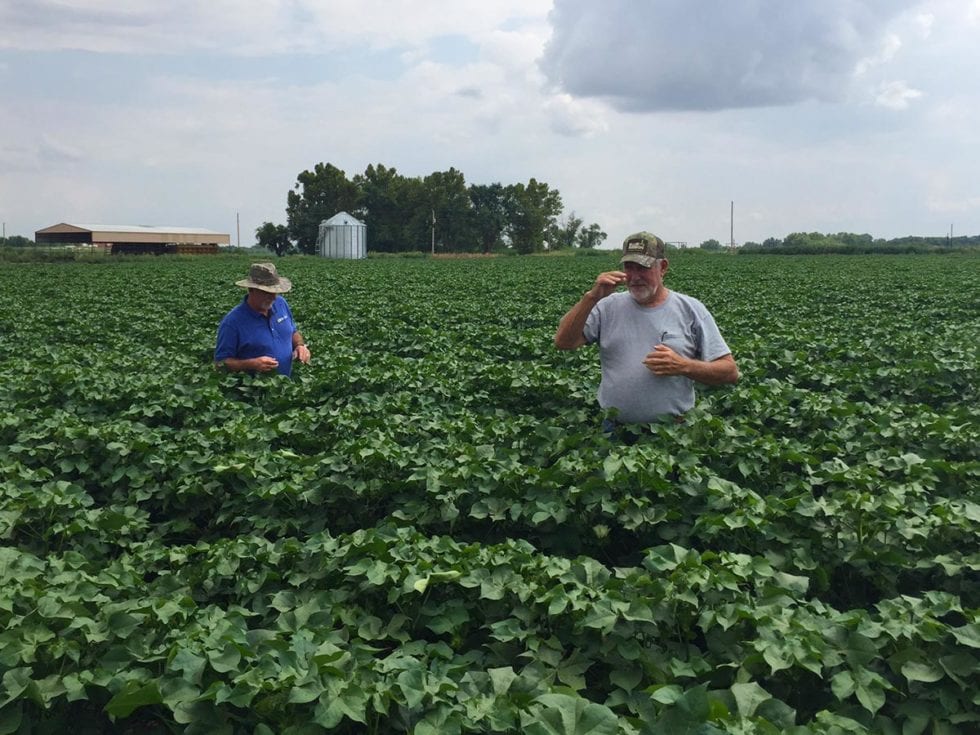 Crop Research Results Sure Crop Fertilizers Seneca, Kansas