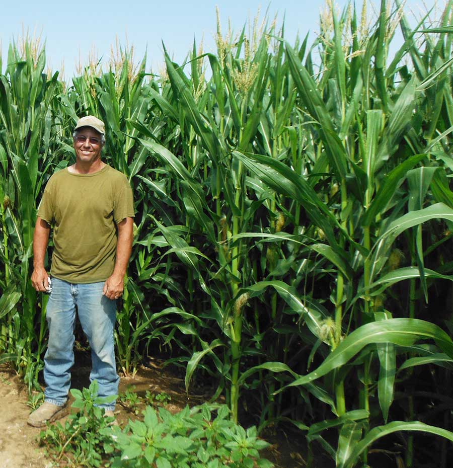 Irrigated Corn and Farmer