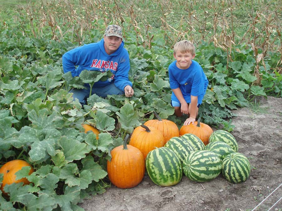 Pumpkins and Watermelons