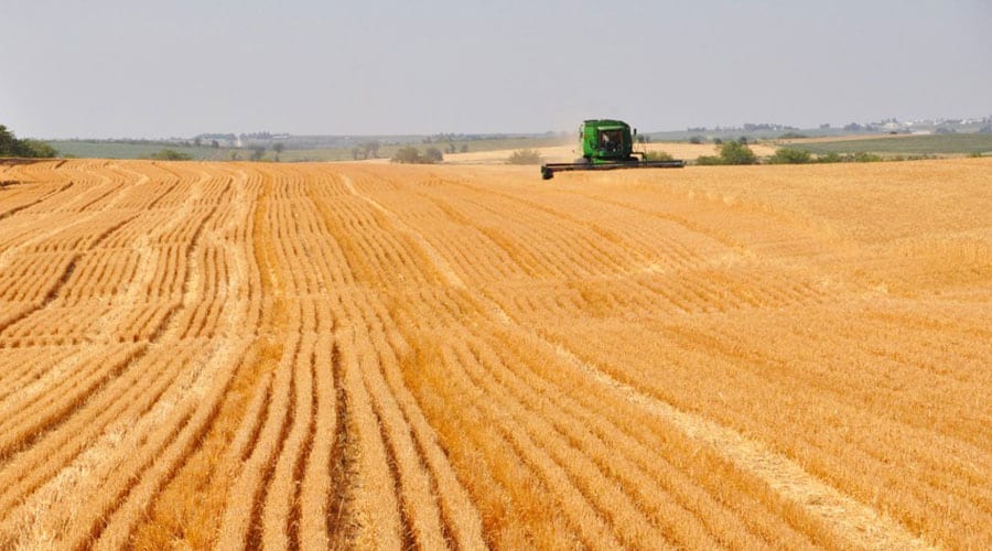 Wheat Harvesting Image